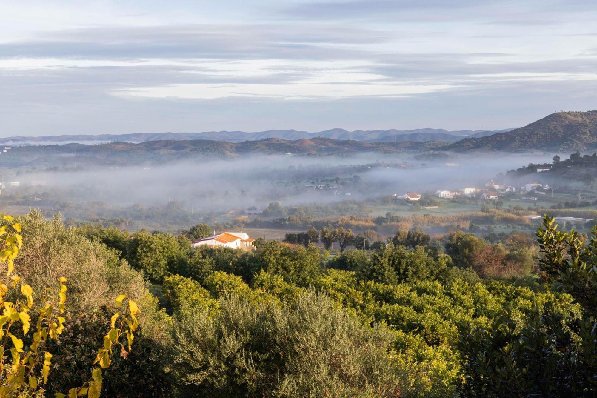 Casa Da Portela Hébergement de vacances *